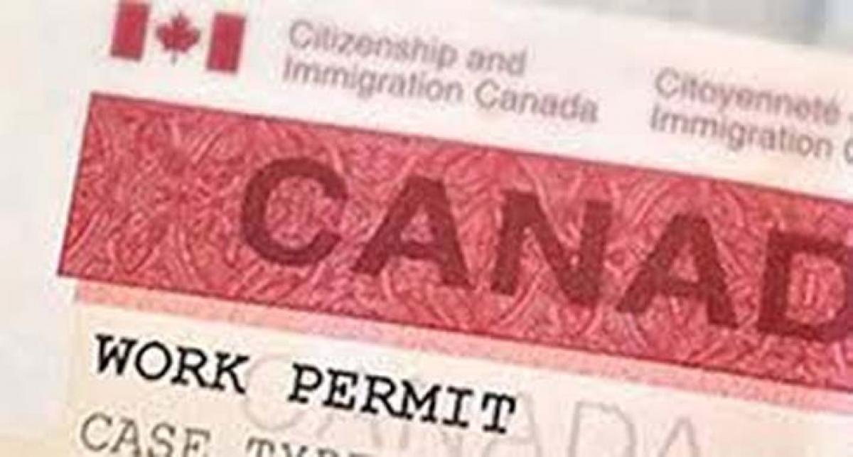 مهاجرت کانادا با ویزای تحصیلی یا ویزای کاری؟!