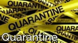 آموزش کلمه quarantine با اخبار شیوع ویروس کرونا