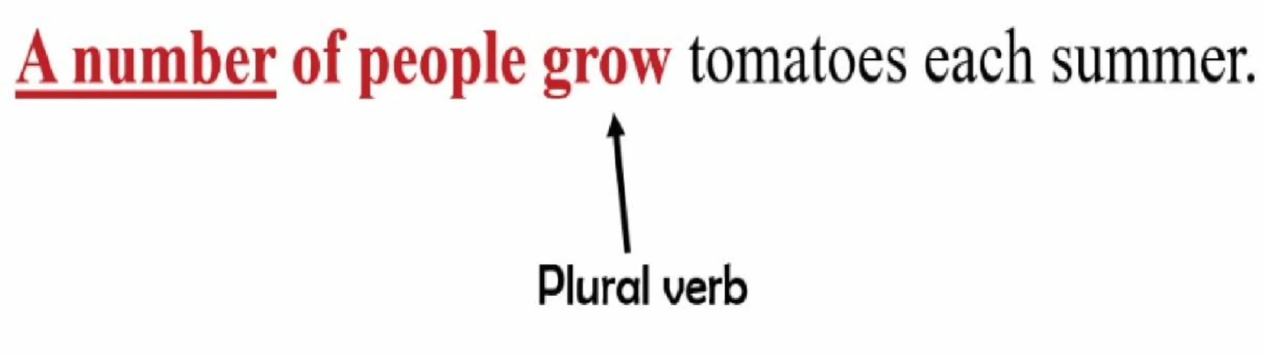 plural verb