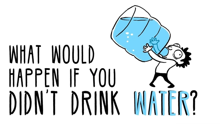 What would happen if you didn't drink water