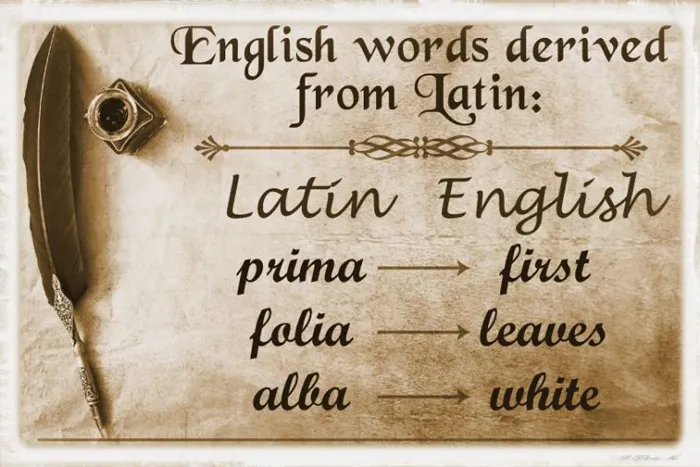 تفاوت زبان لاتین با زبان انگلیسی