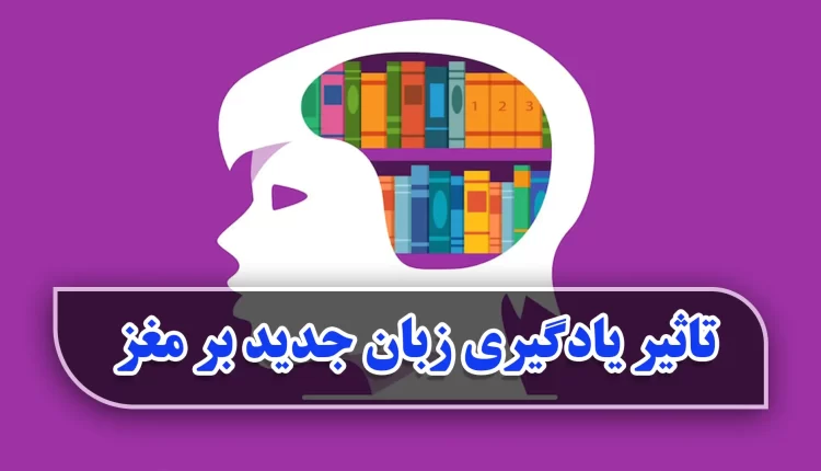 تاثیر یادگیری زبان جدید بر مغز