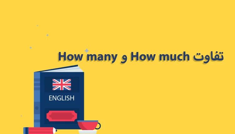 تفاوت How much و How many