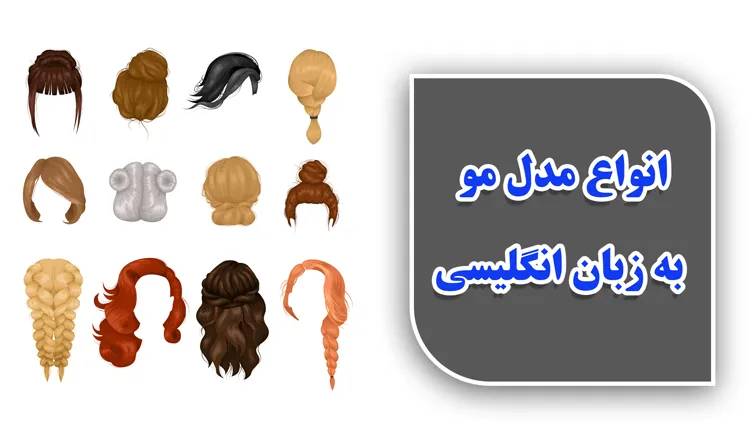 انواع مدل مو به زبان انگلیسی