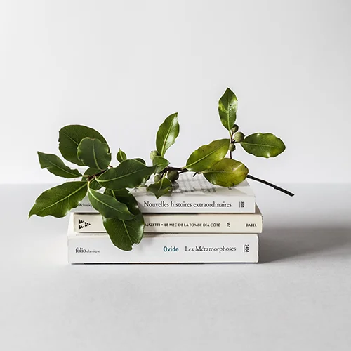 خرید کتاب از سفیرمال